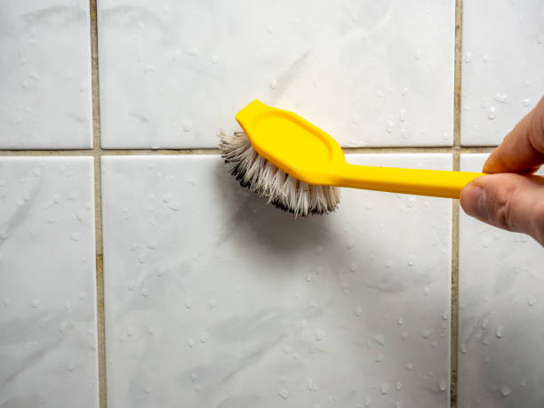 Certified Mold Removal in Wildwood, TN